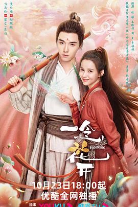 安徽seo优化方案